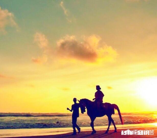 你能接受自己孩子的平庸吗