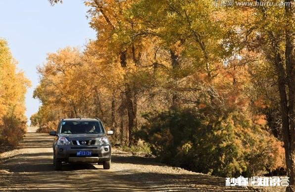 自驾游你会选择范围吗还是漫无目的地游山玩水