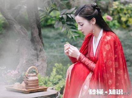 看完电视剧《三生三世枕上书》有什么感受