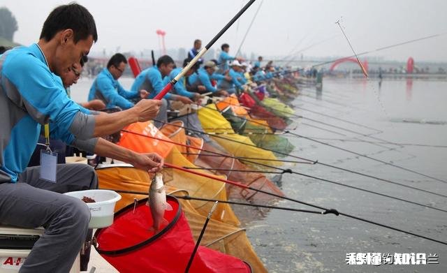 现在黑坑放鱼大多数是回锅鱼,这个该怎么钓,饵料味型、状态怎么调整,该怎么做窝
