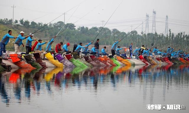现在黑坑放鱼大多数是回锅鱼,这个该怎么钓,饵料味型、状态怎么调整,该怎么做窝