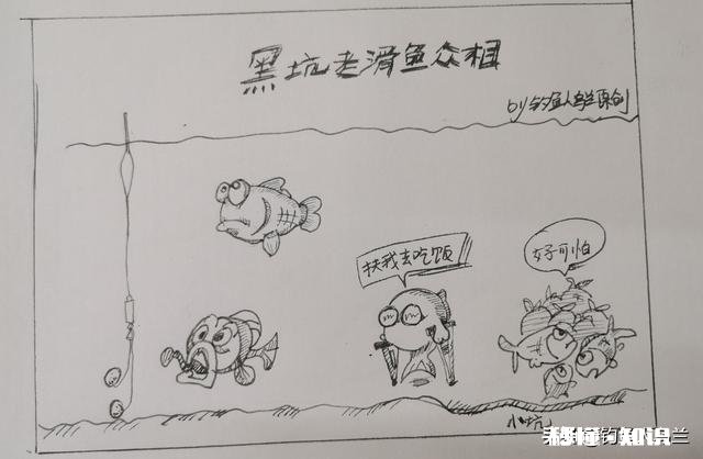 现在黑坑放鱼大多数是回锅鱼,这个该怎么钓,饵料味型、状态怎么调整,该怎么做窝