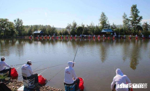 现在黑坑放鱼大多数是回锅鱼,这个该怎么钓,饵料味型、状态怎么调整,该怎么做窝