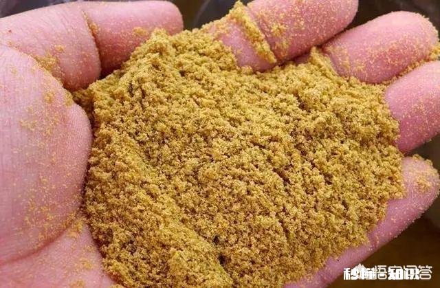 现在黑坑放鱼大多数是回锅鱼,这个该怎么钓,饵料味型、状态怎么调整,该怎么做窝