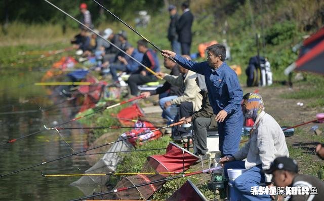现在黑坑放鱼大多数是回锅鱼,这个该怎么钓,饵料味型、状态怎么调整,该怎么做窝