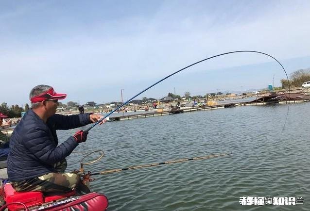 现在黑坑放鱼大多数是回锅鱼,这个该怎么钓,饵料味型、状态怎么调整,该怎么做窝