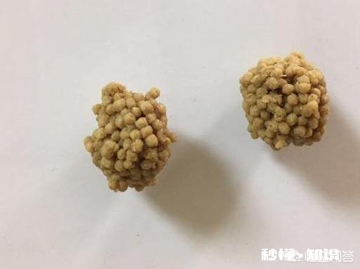 现在黑坑放鱼大多数是回锅鱼,这个该怎么钓,饵料味型、状态怎么调整,该怎么做窝