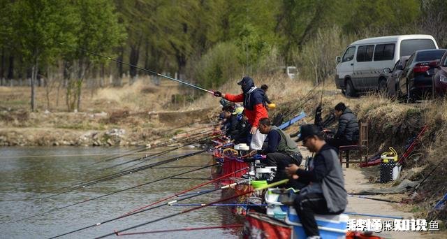 现在黑坑放鱼大多数是回锅鱼,这个该怎么钓,饵料味型、状态怎么调整,该怎么做窝