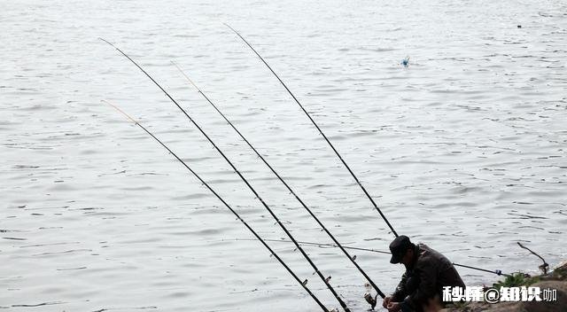 冬天串钩钓鱼是不是点一下就拉有何技巧