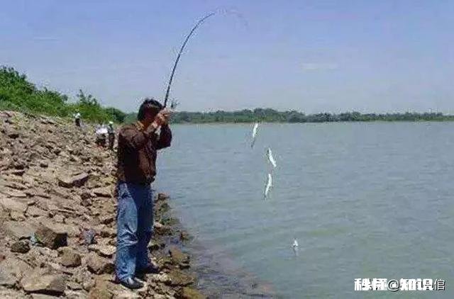 冬天串钩钓鱼是不是点一下就拉有何技巧