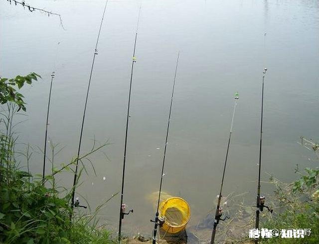 冬天串钩钓鱼是不是点一下就拉有何技巧