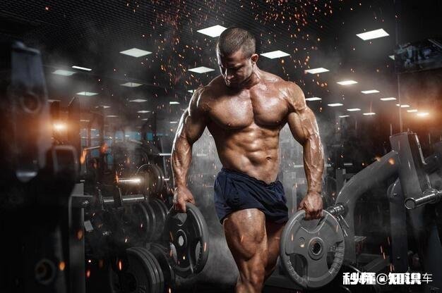 作为一个不擅长体育运动的人,你是怎样入门健身,并在这条路上越走越远的