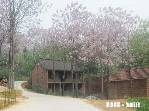 你怕什么,我最怕那种突然又不负责任的喜欢