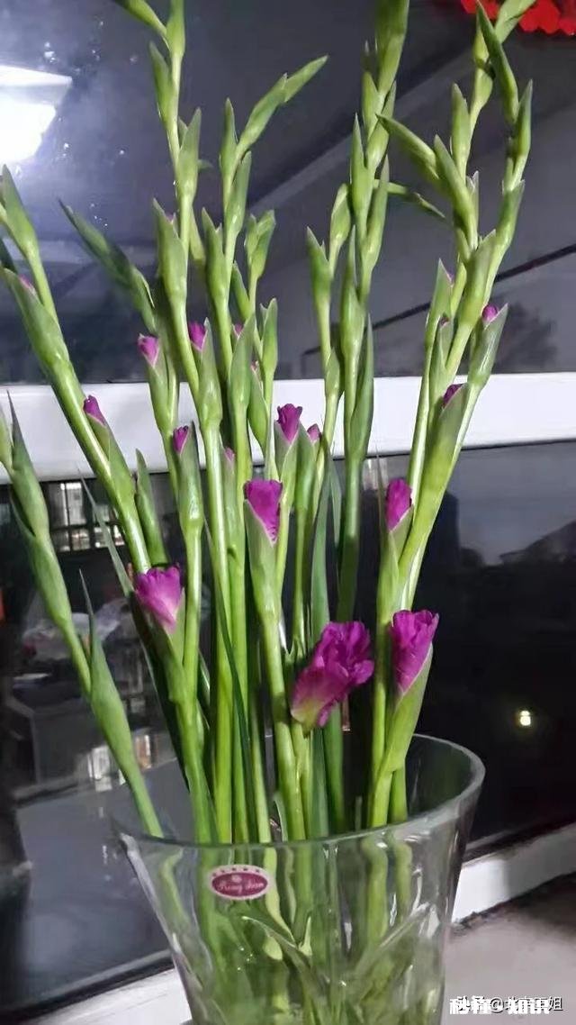 每天晚上都睡不好，怎么办