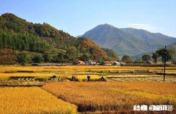 城市和农村最本质的区别是什么