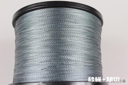 钓马口白条套装去海边可以用吗?能钓到什么鱼