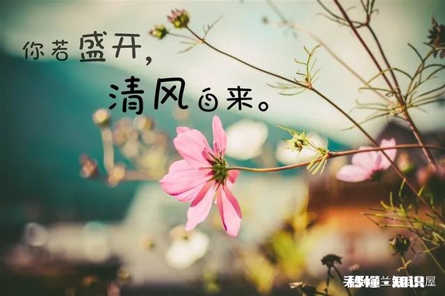 你怎样理解:”能做过头事,不说过头话”这句话