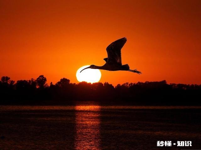 上联：雪梅映山红，悄然走西东。求对下联