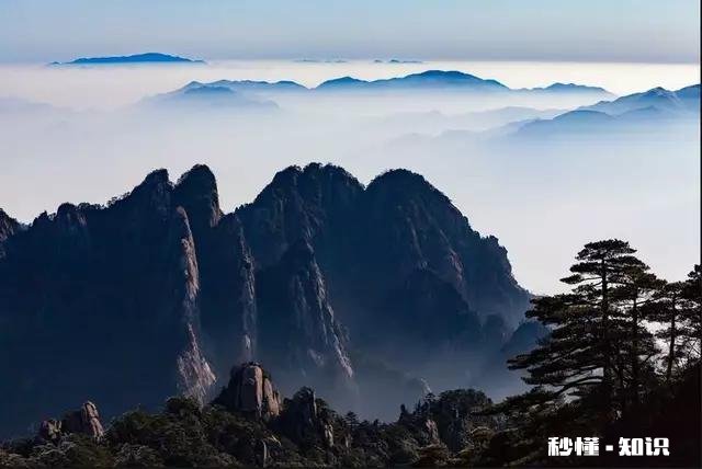 上联：雪梅映山红，悄然走西东。求对下联