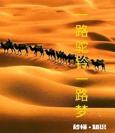 2022年新疆承包土地费多少