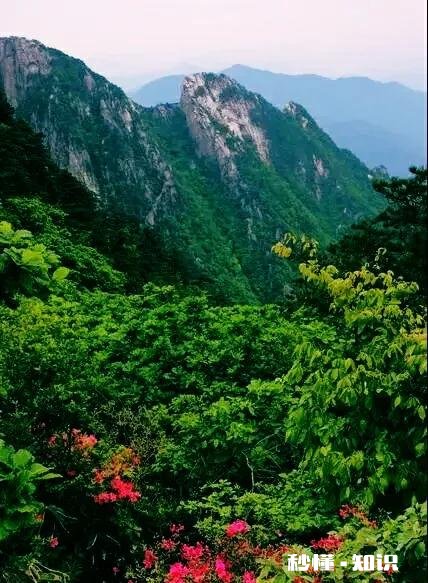 2022年新疆承包土地费多少