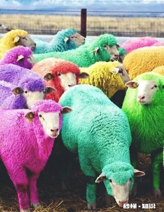 2022年新疆承包土地费多少