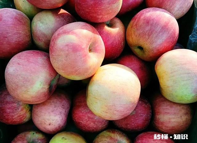 2022年新疆承包土地费多少