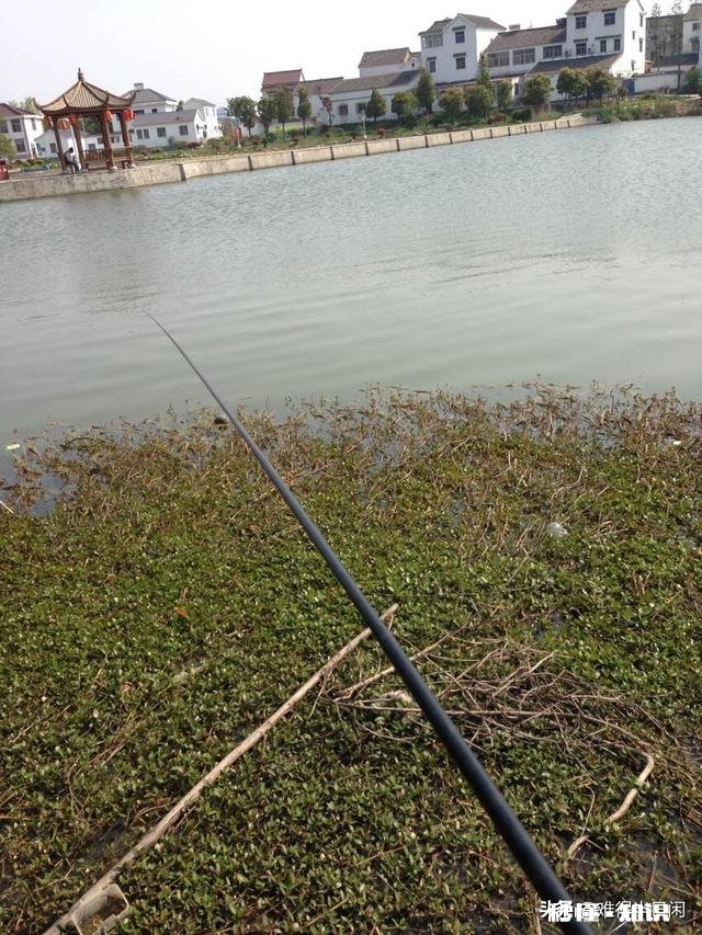 冬季野钓用饵料好还是蚯蚓好