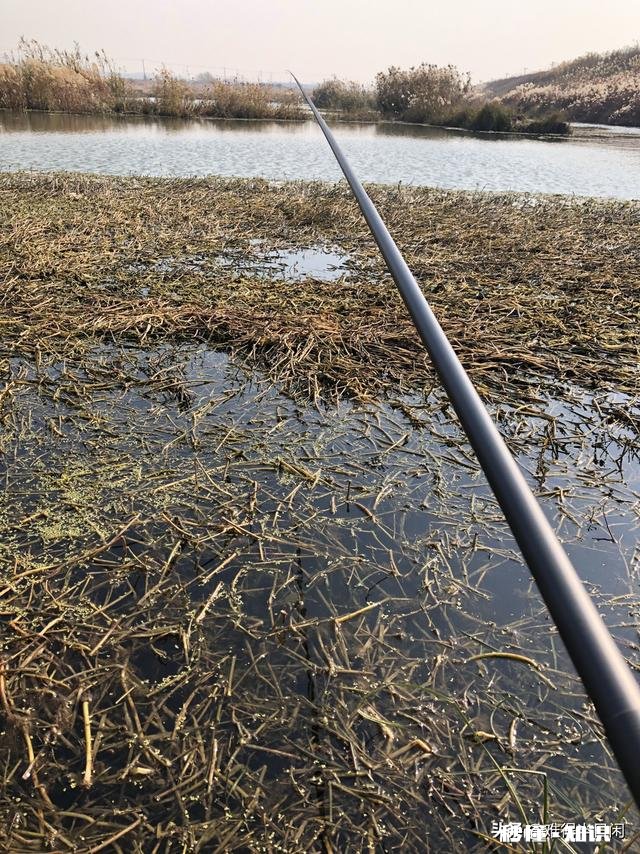 冬季野钓用饵料好还是蚯蚓好