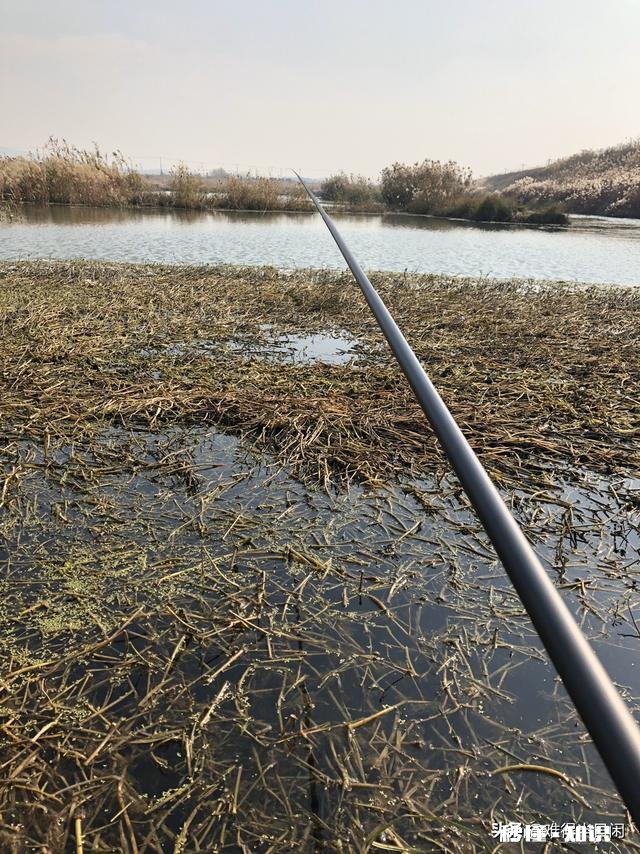 冬季野钓用饵料好还是蚯蚓好