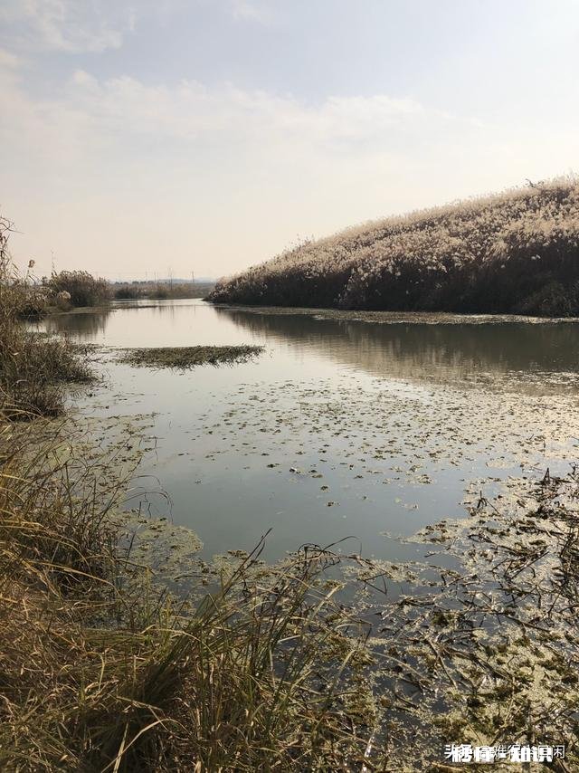 冬季野钓用饵料好还是蚯蚓好