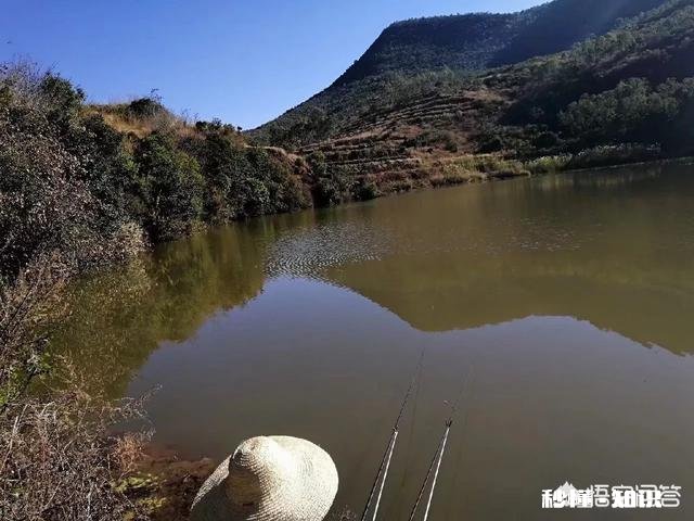 用蚯蚓钓鲫鱼时，怎样才能使蚯蚓不滑好挂钩