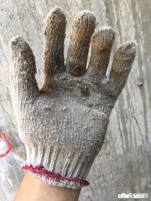 用蚯蚓钓鲫鱼时，怎样才能使蚯蚓不滑好挂钩