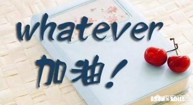 考研时,学硕和专硕哪个好考一些