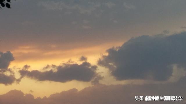 8月中旬，自驾去漠河能看到北极光吗