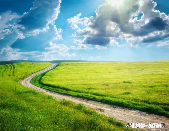 8月中旬，自驾去漠河能看到北极光吗