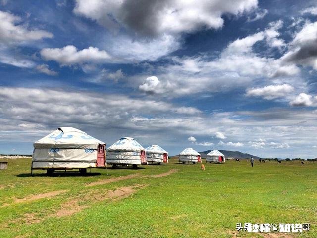 8月中旬，自驾去漠河能看到北极光吗