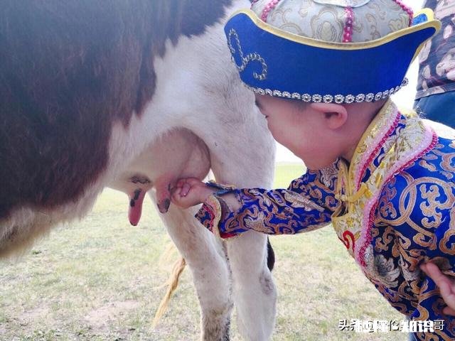 8月中旬，自驾去漠河能看到北极光吗