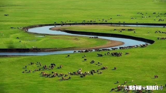 8月中旬，自驾去漠河能看到北极光吗