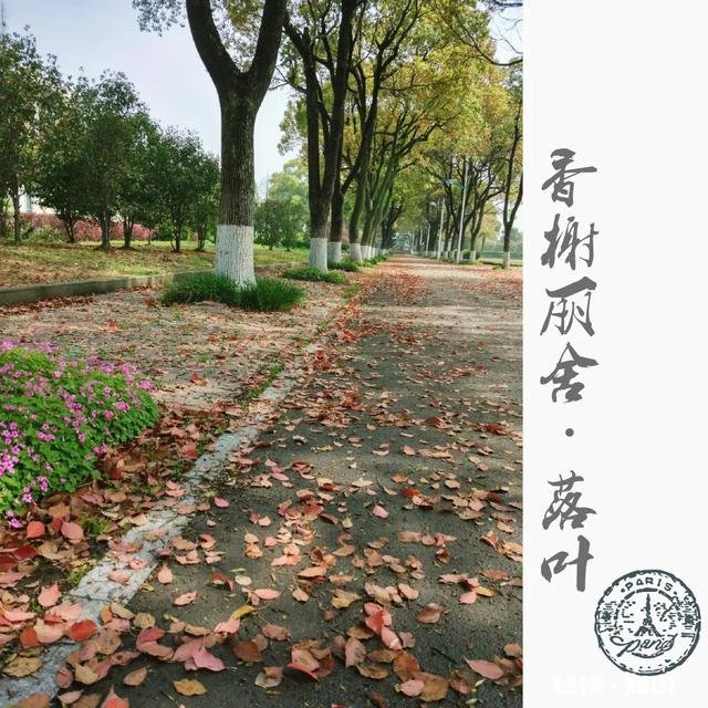 职业摄影师都在用哪些app