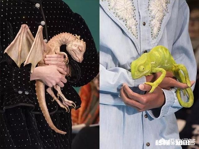 Gucci的新秀你们喜欢哪些单品