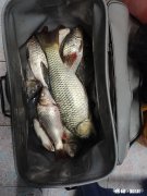 浮漂调、钓最后几目分别怎么影响出口加粗与不加粗有什么区别