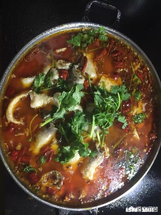 夏季又到了钓大鱼的时节，钓友们钓到草鱼都怎么做菜的说说最爱的吃法