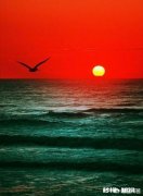 夏天到了，你会在意自己被晒黑吗