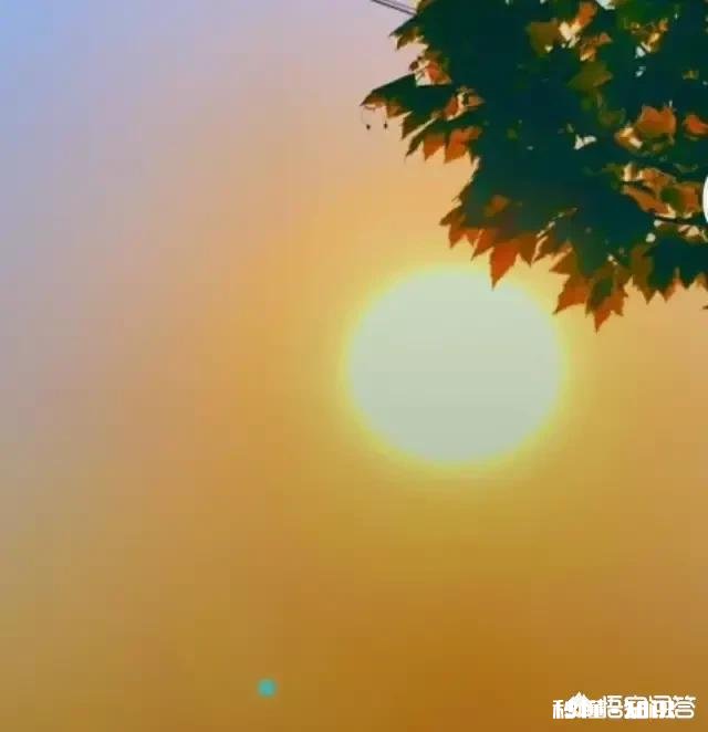 夏天到了，你会在意自己被晒黑吗