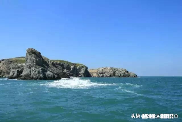 近海钓鱼怎么找鱼群