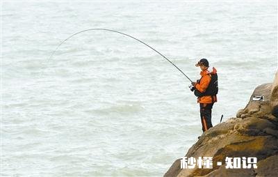 近海钓鱼怎么找鱼群