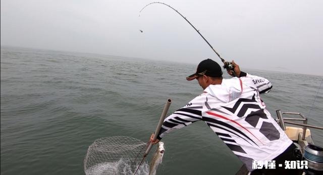 近海钓鱼怎么找鱼群