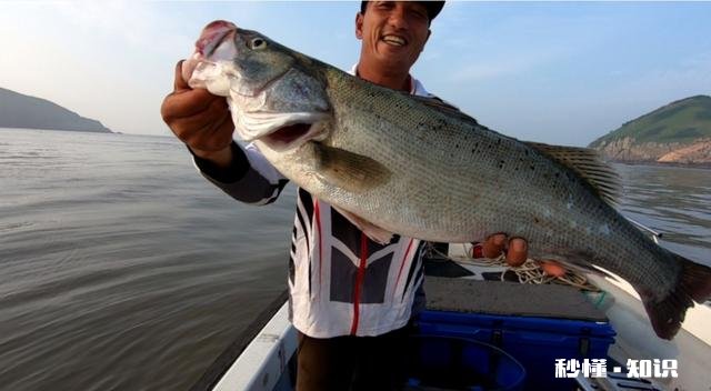 近海钓鱼怎么找鱼群