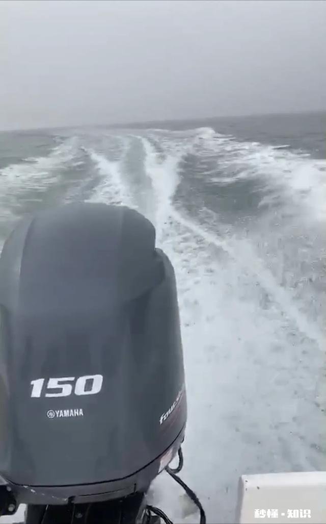 近海钓鱼怎么找鱼群